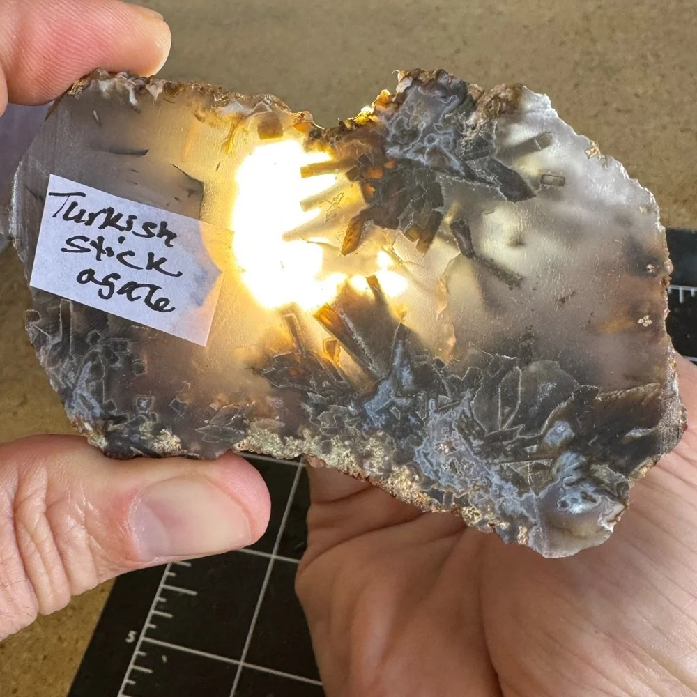 Turkish Stick Agate Slab End Cut Non polished (Turkey) - Brown and Black